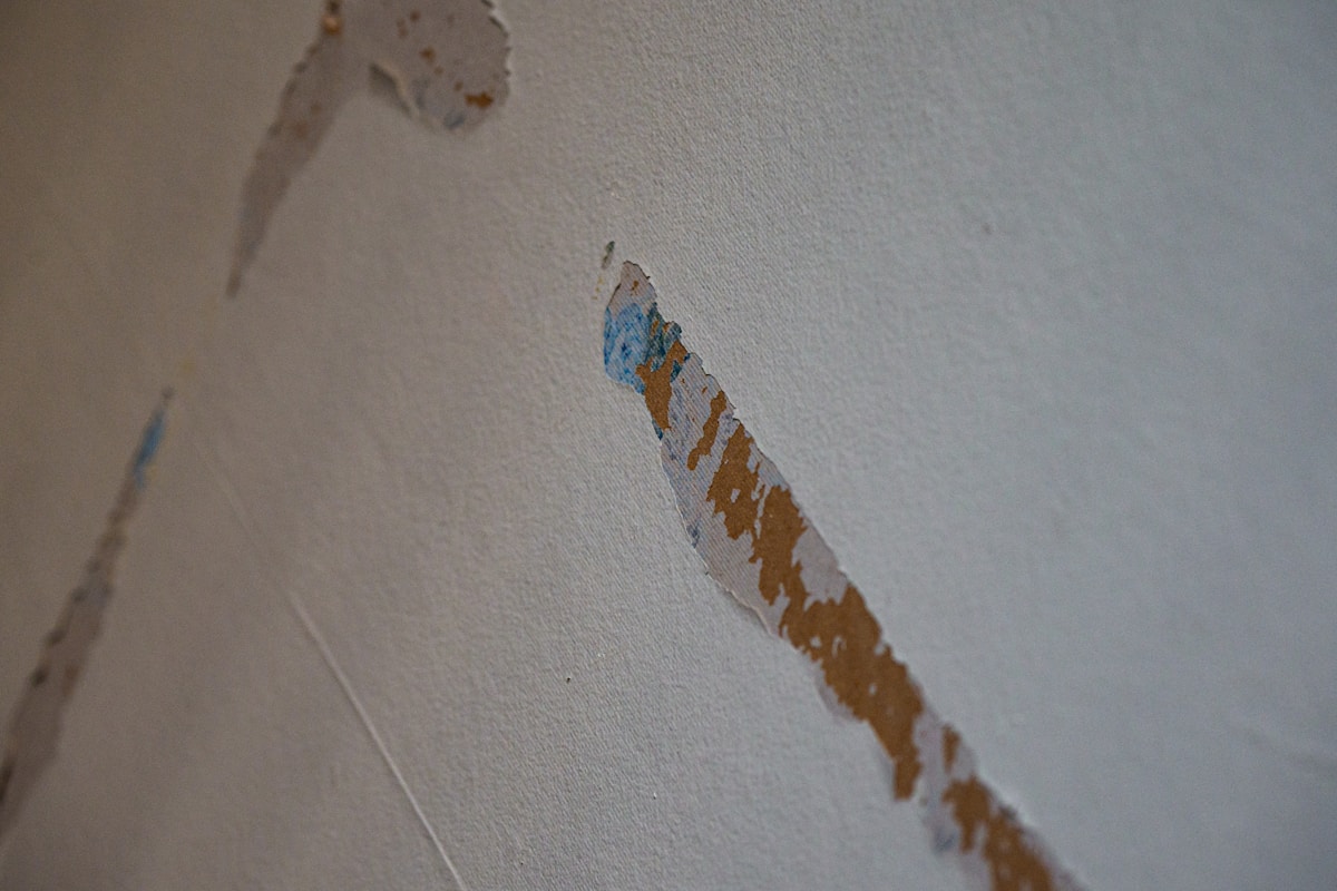 Flood Cleanup service in Albany, NY